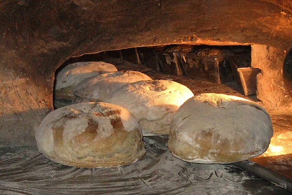 chleb pszenny wiejski